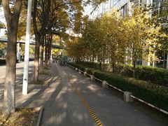 -同济大学(嘉定校区)