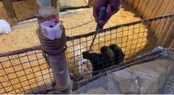 -酷嗒动物文化乐园(cutezoo西溪乐天城店)