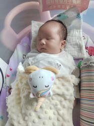 -东方幸福国际母婴月子会所(沙湾公园店)
