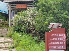 -安徽天堂寨风景区