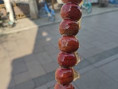 -糖葫芦王保定名吃(古莲花池店)