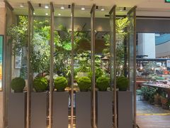 -大书房咖啡(中传国交店)
