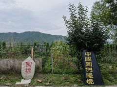 -图们口岸