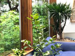 -Nirvana Cafe&Bar(北仓文创街区店)