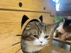 -小时光咖啡馆(北锣鼓巷店)