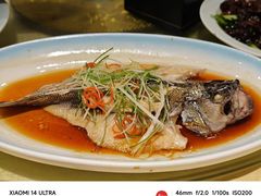 -新侨小馆(东直门北小街店)