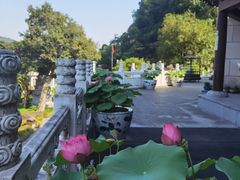 -余姚阳明温泉山庄