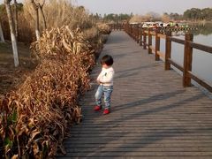 -艾溪湖湿地公园