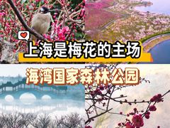 -上海海湾国家森林公园