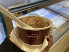 -哈根达斯(西安北郊店)