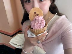 -巴黎迪士尼乐园