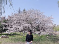 -堤角公园
