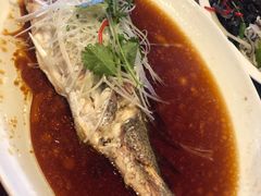 -北京希尔顿逸林酒店