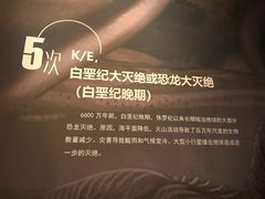 -呼和浩特博物馆