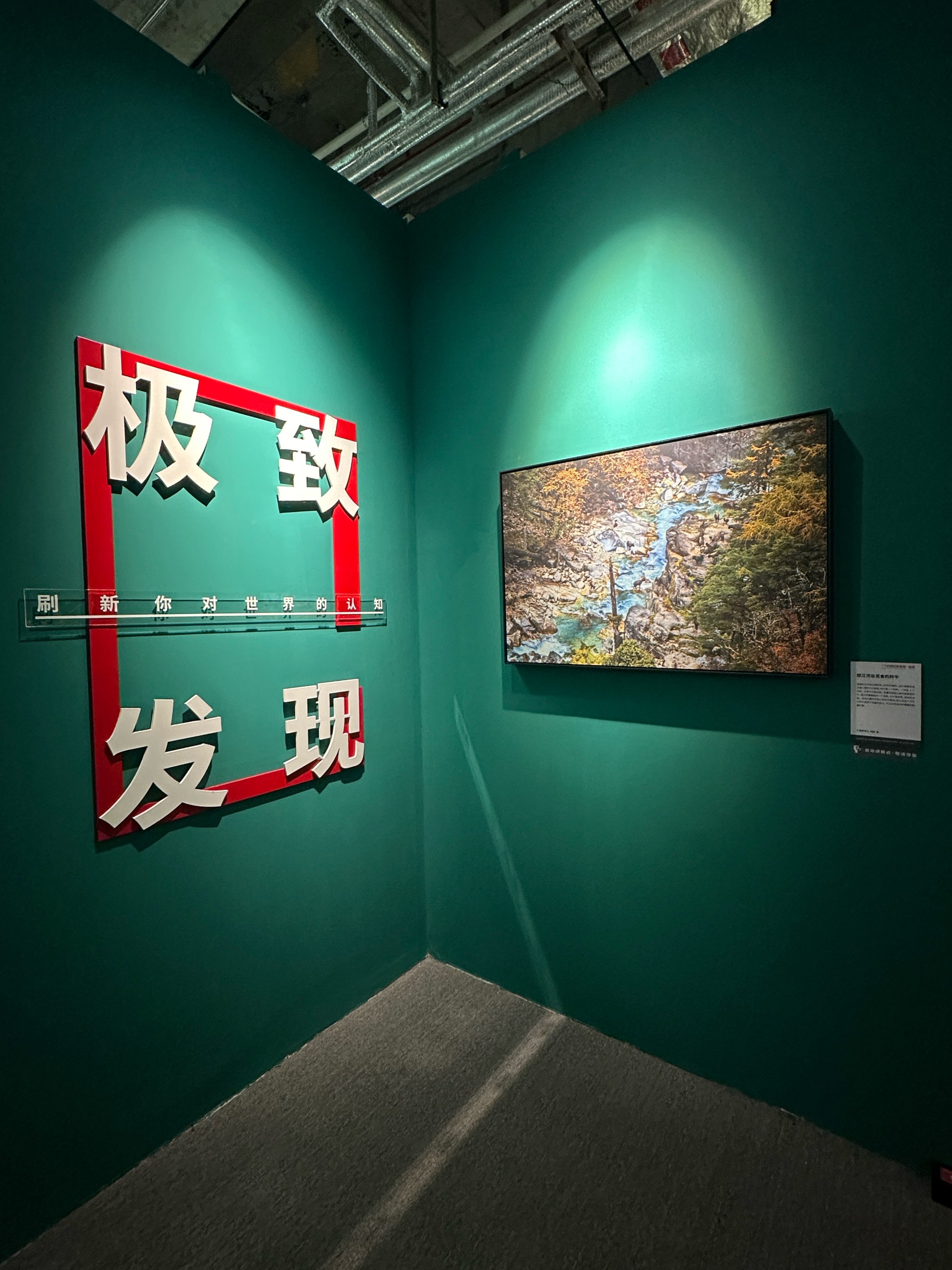 国家地理杂志影像展图片