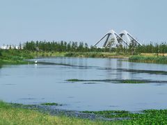 -春花秋色城市公园