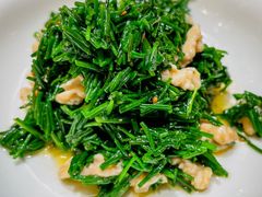 鲜沙葱拌核桃仁-西贝莜面村(万象天地店)