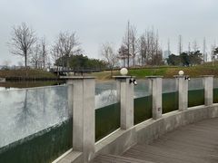 -眉山湿地公园(东坡区)