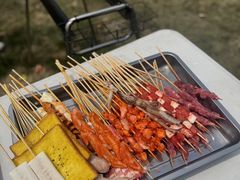 -栖露营camping·天幕烧烤·团建拓展·采摘营地