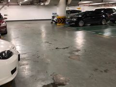 -武汉江城明珠豪生大酒店