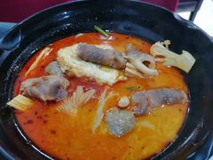 -杨国福麻辣烫(龙阳广场店)