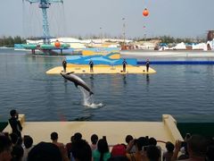 -秦皇岛乐岛海洋王国