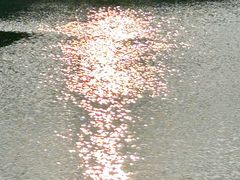 -尚贤河湿地