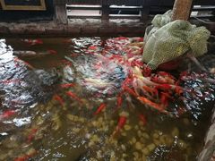 -弘医堂医院-中医科