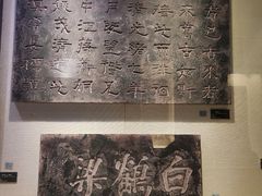 -白鹤梁水下博物馆