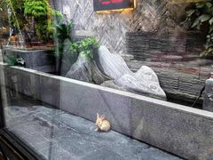 -毛辣果·贵州红酸汤牛肉火锅(西单店)
