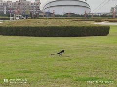 -大连星海广场音乐喷泉
