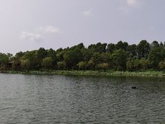 -上海怡沁园度假酒店