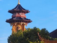 -溱湖国家湿地公园