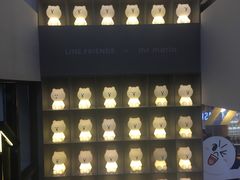 -line friends(明洞旗舰店)