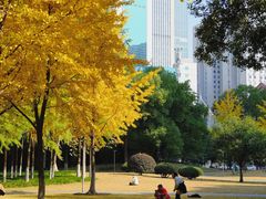 -西北湖绿化广场