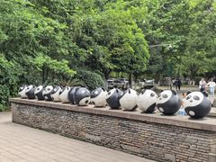 -都江堰中华大熊猫苑