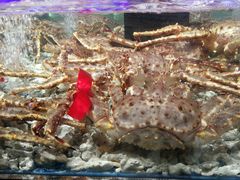 -盒马鲜生(岭南新世界店)