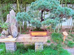 -上海醉白池公园