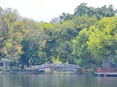 -荔湾湖公园