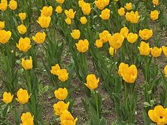 -长春公园(普阳街道)