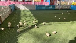 -萌宠亲子动物乐园(槐房万达店)