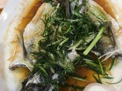 -烧鹅妹饭店