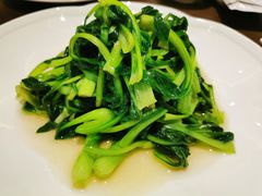 -张生记(丁香国际店)