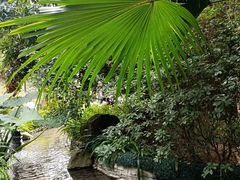 -汇雅温泉