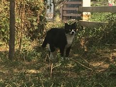 -酷鱼垂钓CLUB(朝阳区博大路店 )