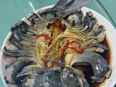 -煲来饱去冷水鱼