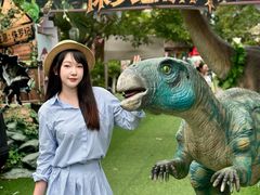 -灵玲国际马戏城