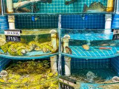 -正亮农家院·海鲜本地菜