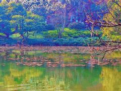 -山外山菜馆(玉泉路店)