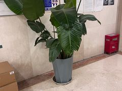 -美林大浴场(奥体中心店)